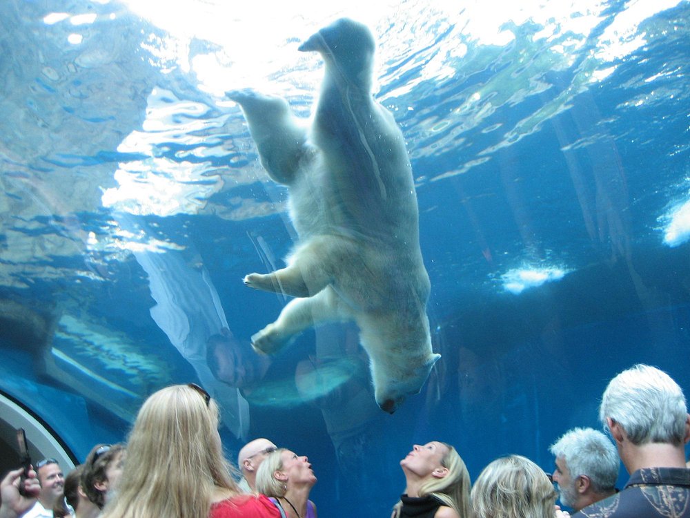 pittsburgh-zoo-ppg-aquarium